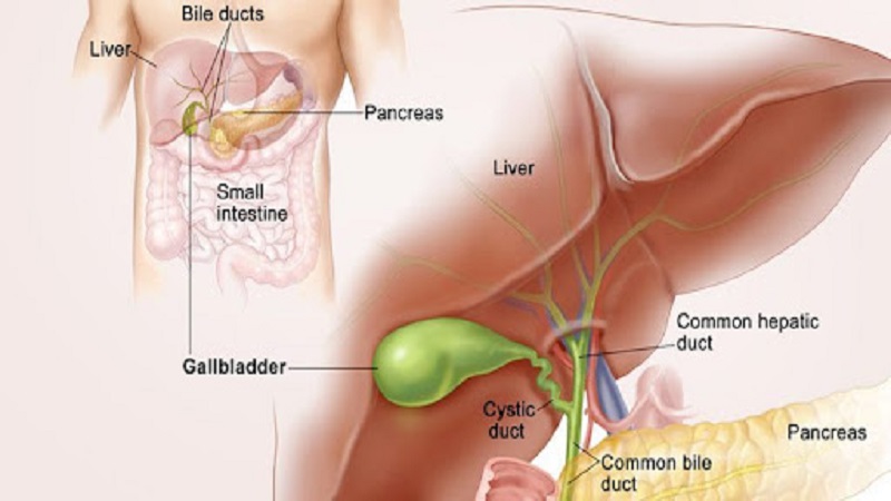 بازسازی صفراوی به صورت هپاتیکوژژونوستومی